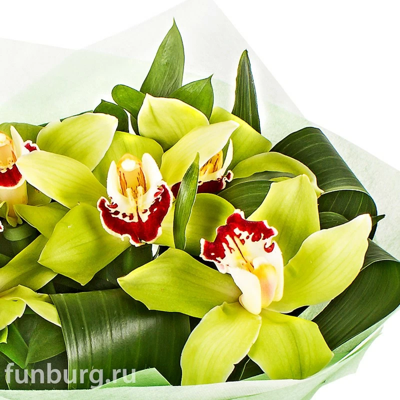 Букет орхидей «Изумрудный»
