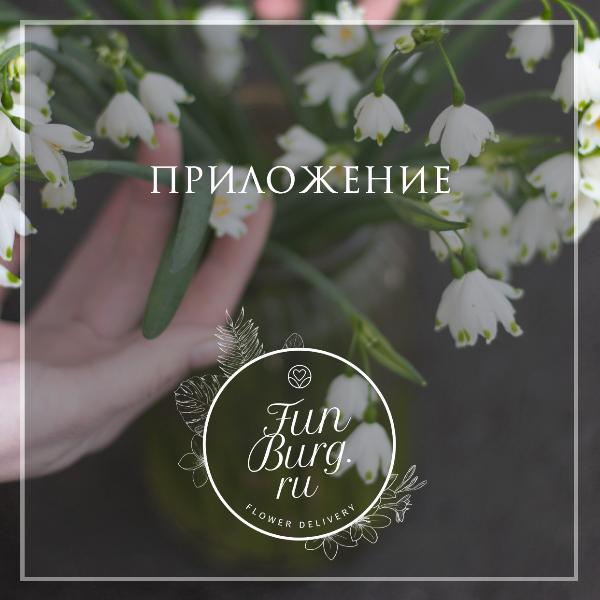 Мы запустили мобильное приложение!