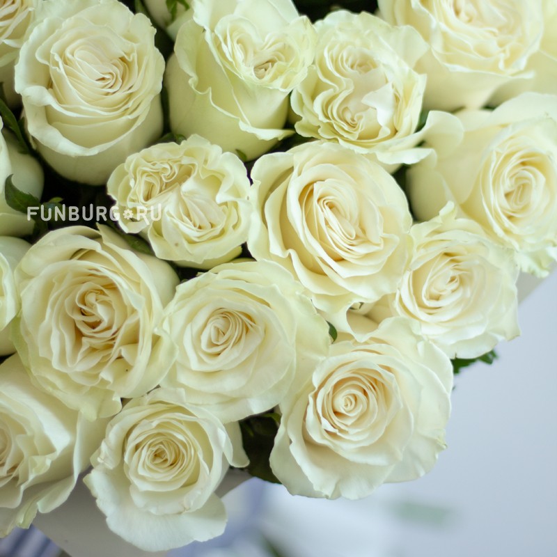 Букет белых роз «Ангел»