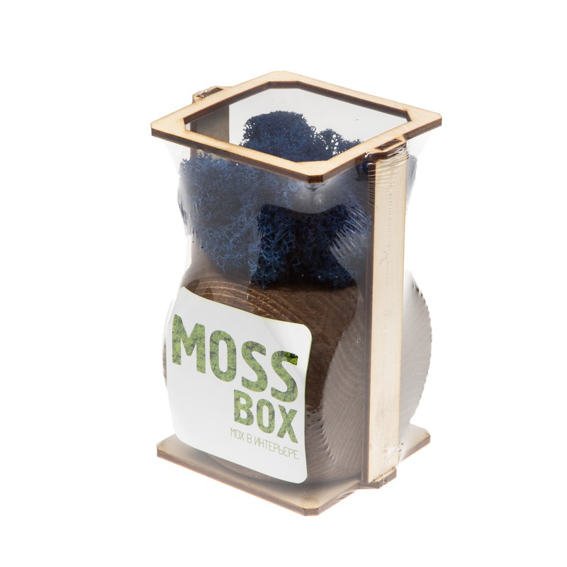 Интерьерный мох «MossBox Blue»