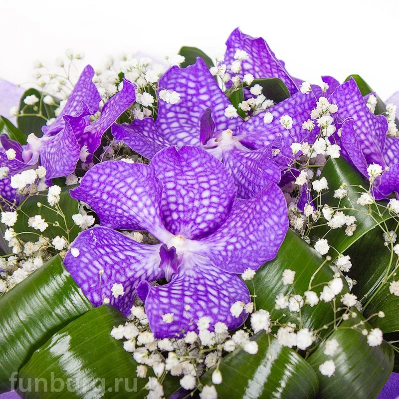 Букет орхидей «Секрет»