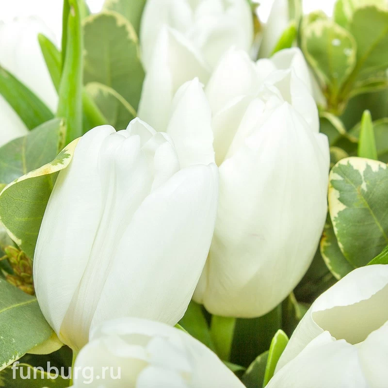 Букет тюльпанов «Апрель»