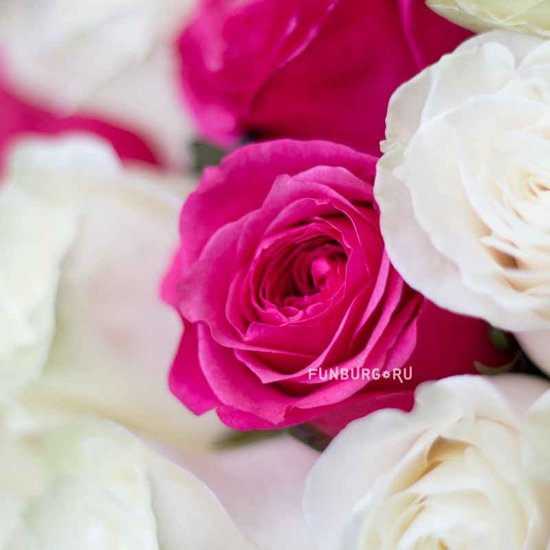 Букет роз из 45 роз «Шарм»