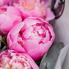 Букет розовых пионов «Леденцы» XS