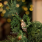 Композиция со свечами «Сказочный лес»