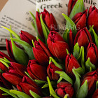 Букет красных тюльпанов L