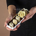 Набор клубники в шоколаде «la Fleur» (white) XS