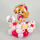 Фигура из шаров с Скай