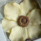 Анемона из бельгийского шоколада (белый и молочный шоколад)