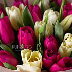 Букет кремовых и пурпурных тюльпанов M