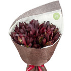 Букет «Горький шоколад»