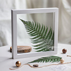 Ботаническая картина «Fern» №1