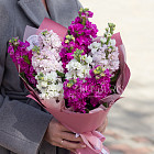 Букет из маттиолы «Пурпурные искры»