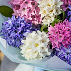 Букет из гиацинтов «Очарование весны»