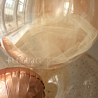 Набор: сердце с фотографиями и связка «Медовая карамель» 30″