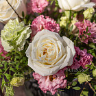 Композиция «Магия утра» Limited Edition