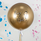 Большой шар «Boy or Girl?»