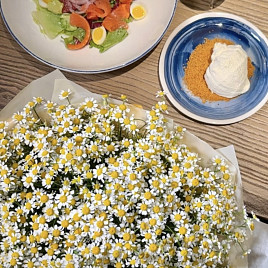 Матрикария (кустовая ромашка)