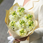 Монобукет из белого антирринума