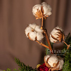 Цветы в шляпной коробке «Рождественский пунш»