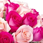 Букет роз «Великолепие XL»