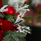 Цветы в шляпной коробке «Брусничный пунш»