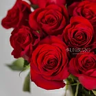 Розы (50 см)