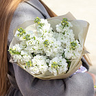 Букет из маттиолы «Пряный аромат»