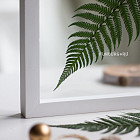 Ботаническая картина «Fern» №1