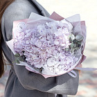 Букет гортензий «Лавандовая меренга»