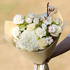 Букет «Яблочный шорли»