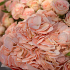 Букет «Персиковое суфле»