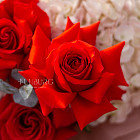 Букет из французских роз и гортензий «Ассоль»