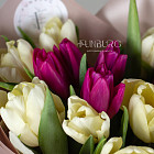 Букет кремовых и пурпурных тюльпанов S