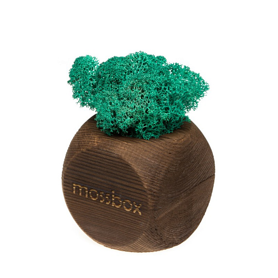 Интерьерный мох «MossBox Green»