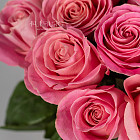 Розовые розы Hermosa