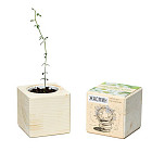 Экокуб «Жасмин»