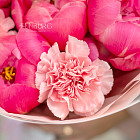 Букет из пионов и гвоздик «Земляничные сны»