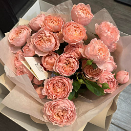 Кустовые пионовидные розы «Джульетта»