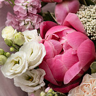 Букет «Гранатовый сорбет»