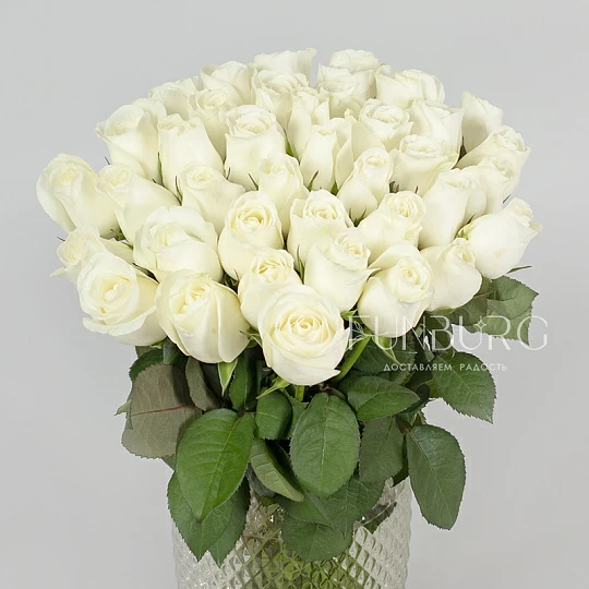 Цена белых роз в Lafaet (Тюмень)