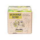 Экокуб «Шелковица Белая»