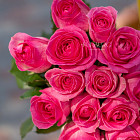 Акция! 15, 25 или 51 роза (Россия)