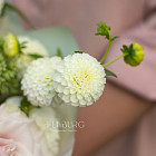 Букет «Французский сад»