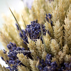 Букет из сухоцветов «Пшеница и лаванда»