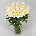 Белые розы Candlelight