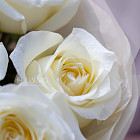 Монобукет из роз Candlelight XS