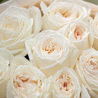 Монобукет из ароматных роз White O'Hara XS