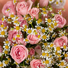 Букет из ромашек и кустовых роз «Сладкое утро»