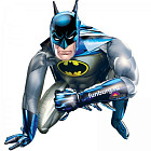 Ходящий шар «Бэтмен»